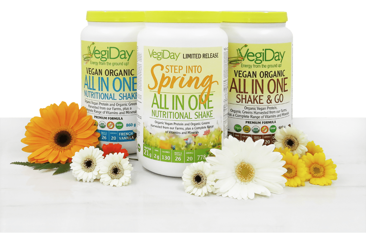 Vegiday All-in-one Shake