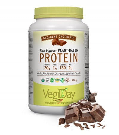 VegiDay Raw Organic Plant-Based Protein Decadent Chocolate