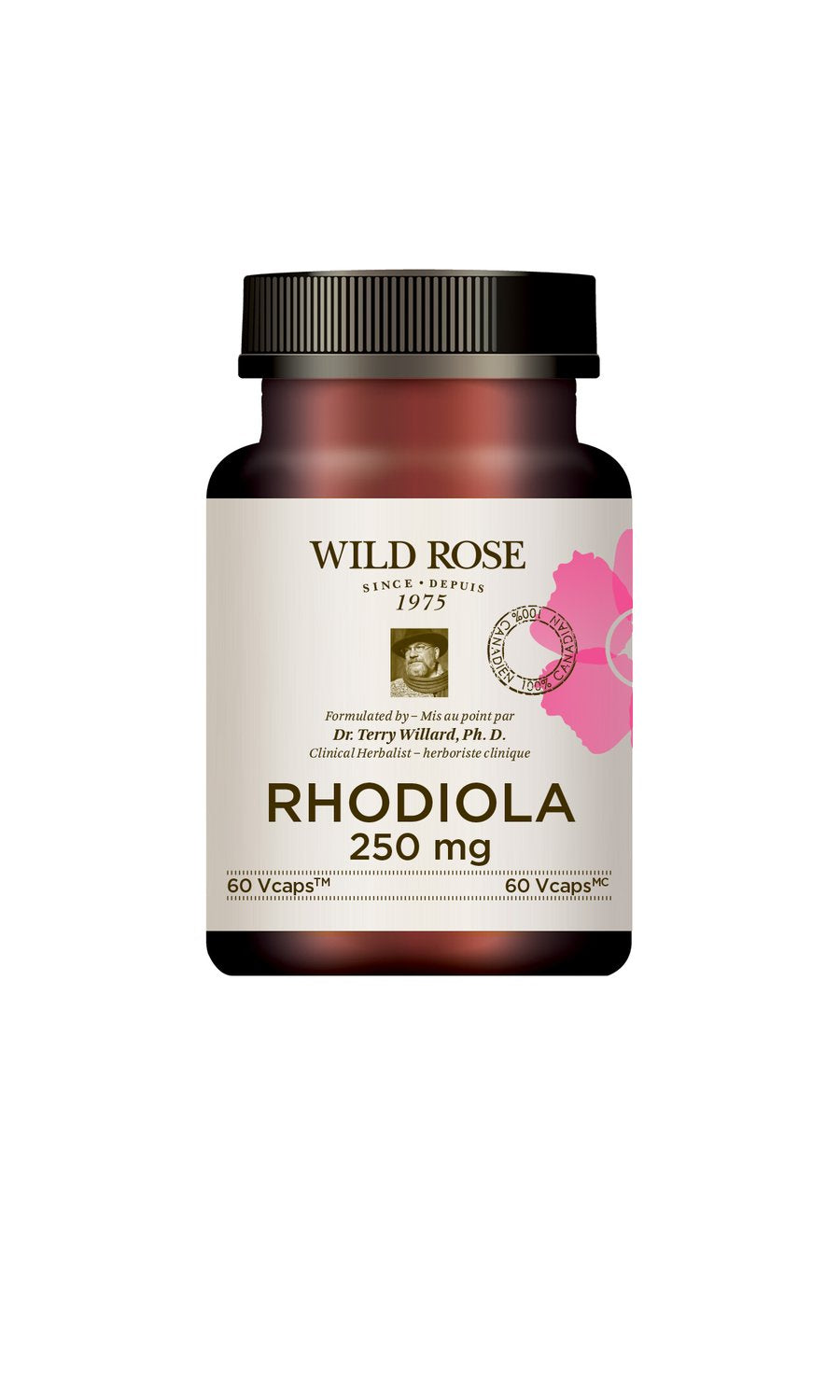 Wild Rose- Rhodiola
